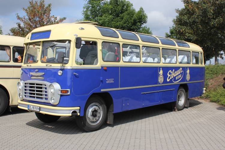 Ikarus 311