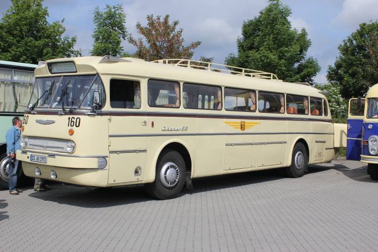 Ikarus 66