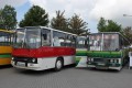 Ikarus 255 und 250